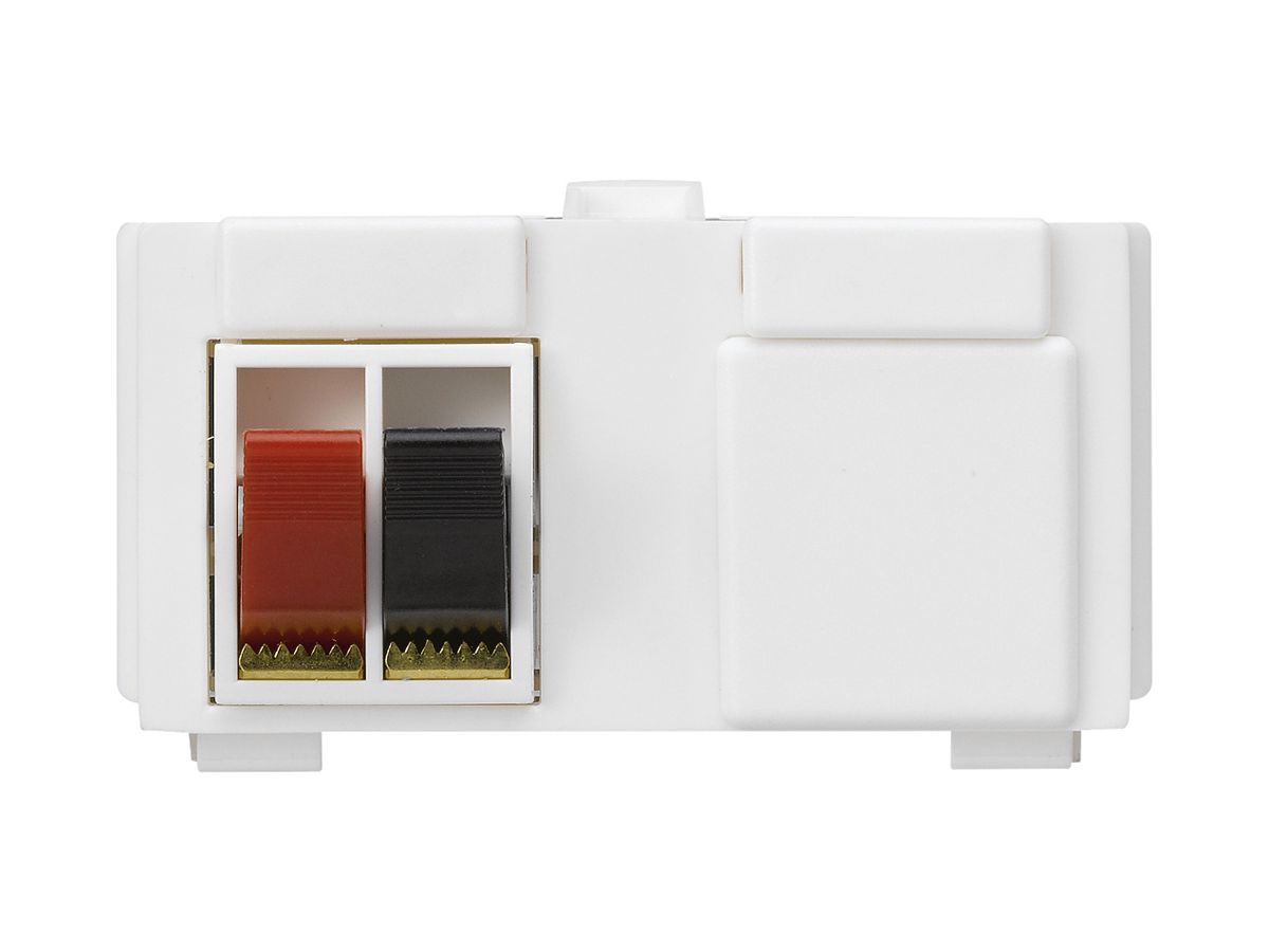 Multimedia-Modul M3 mit 2×LS-Klemme rot/schwarz kallysto weiss