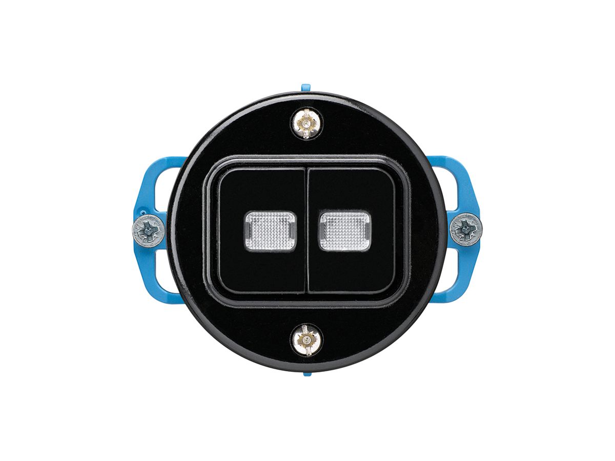 Einsatz zu UP-Leuchttaster basico 2L WW/1L schwarz
