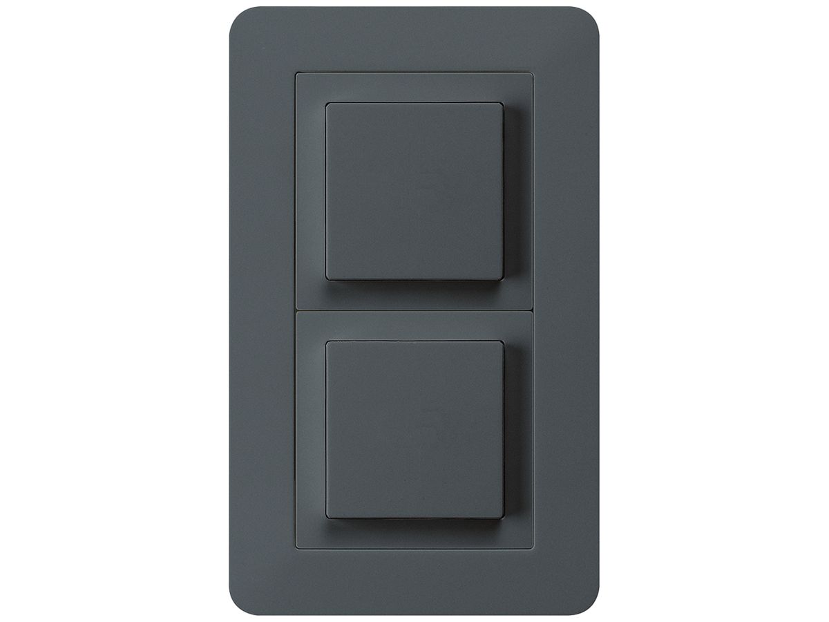 UP-Kombination kallysto.trend Gr.I-I vertikal Impulstaster+Schalter S3 anthrazit
