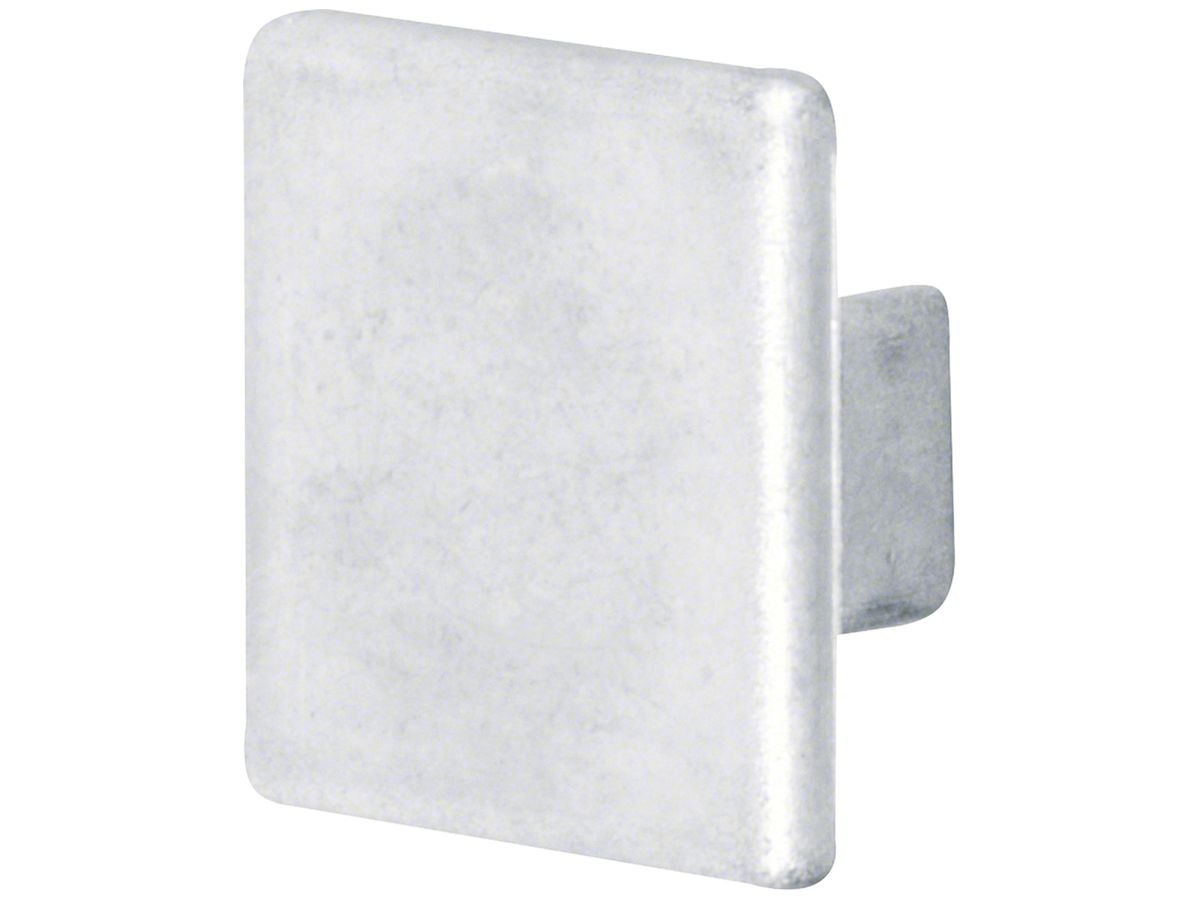 Endstück Hager tehalit.LFS 20×20mm Zink IP30