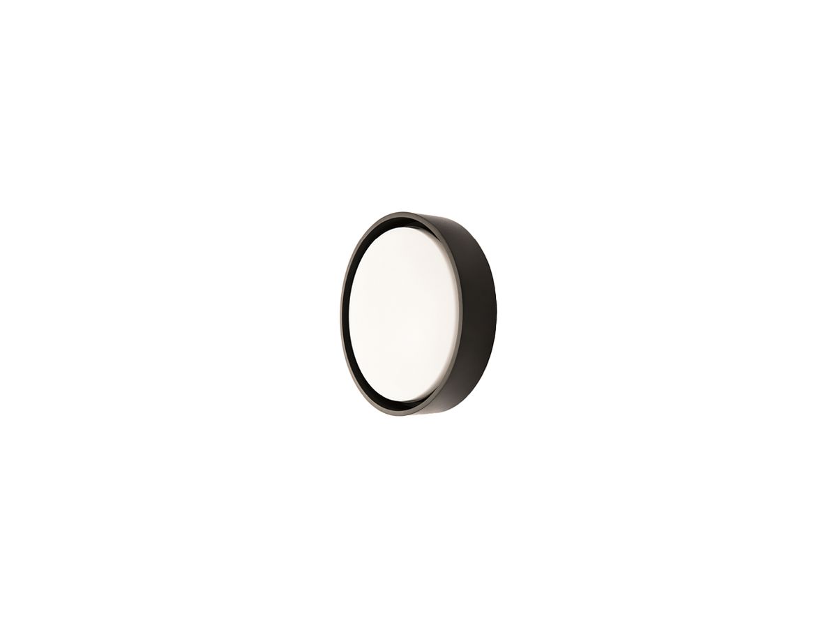 LED-Decken-/Wandleuchte SG Frame Round Maxi 19W 1990lm 830 IP66 DIM Ø325 schwarz