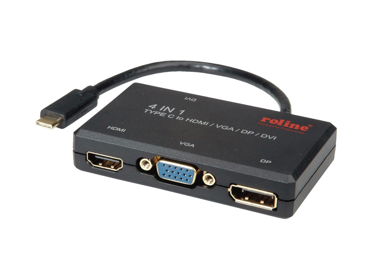 Display-Adapter ROLINE USB-C (USB 3.2 Gen2) → DP/DVI/HDMI/VGA 4K@60Hz