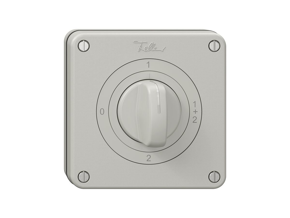 NUP-Drehschalter NEVO, 1/1 L, mit Drehgriff, KS, 0-1-1+2-2, lichtgrau