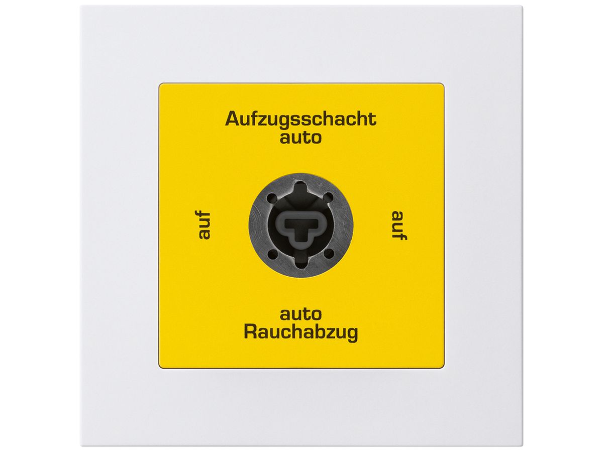 UP-Schlüsselschalter kallysto.pro für Rauchabzug Text deutsch weiss