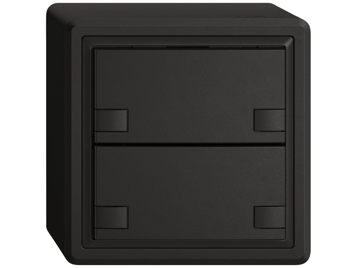AP-KNX-Taster RGB EDIZIO.liv SNAPFIX® Temperaturfüh.o.LED 2×Taste 2-Tbed.sz