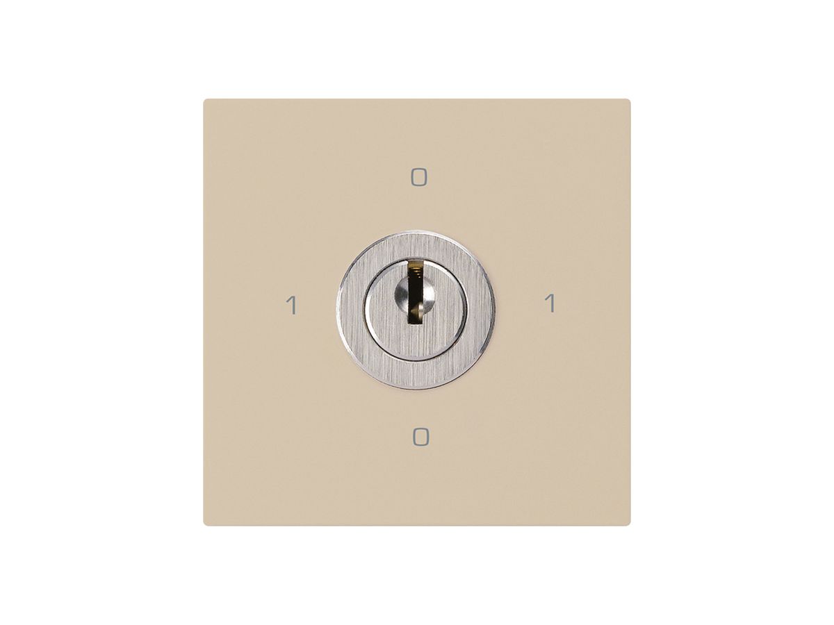 Einsatz zu Schlüsselschalter kallysto 0/2L beige mit Schloss Kaba 8