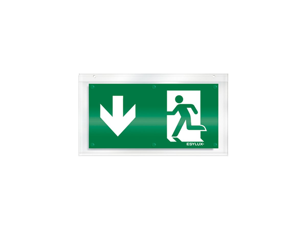 Piktogramm-Scheibe ESYLUX für SLX einseitig Pfeil unten