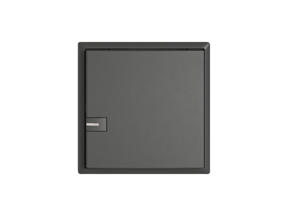 KNX-Taster RGB EDIZIO.liv SNAPFIX® Temperaturfüh.RGB-LED 1×T 1-Tbed.dgu