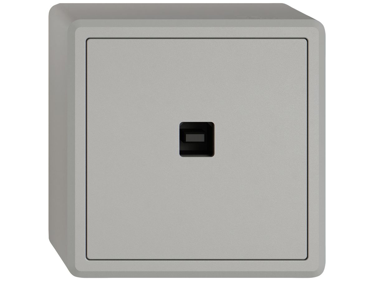 AP-USB-Datenschnittstelle KNX EDIZIO.liv SNAPFIX® USB-Buchse Typ B hgu