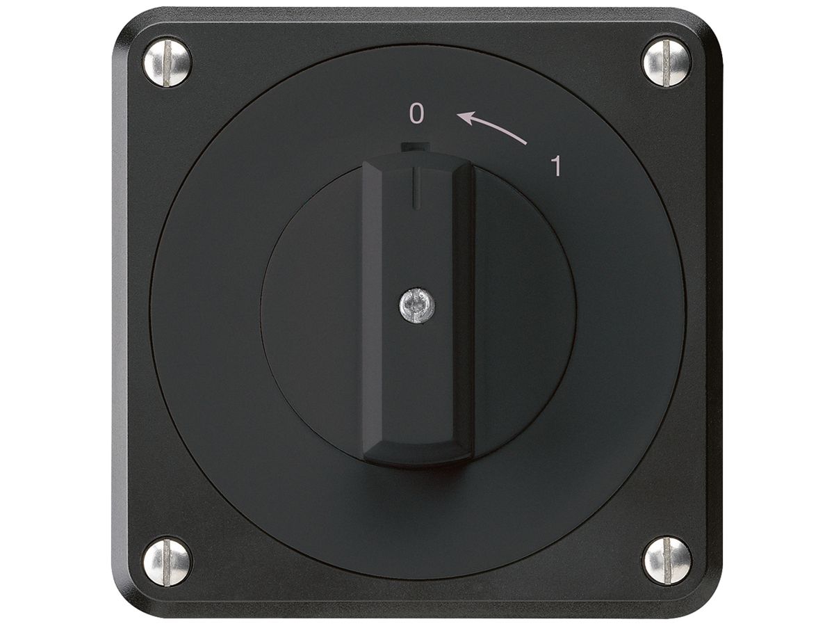 UP-Schwenktaster robusto IP55 schwarz 2P