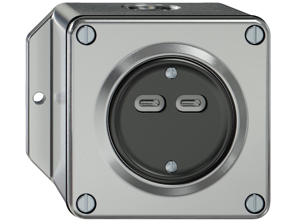 AP-USB-Ladesteckdose ELEMENT 2×USB-C 3600mA aluminium