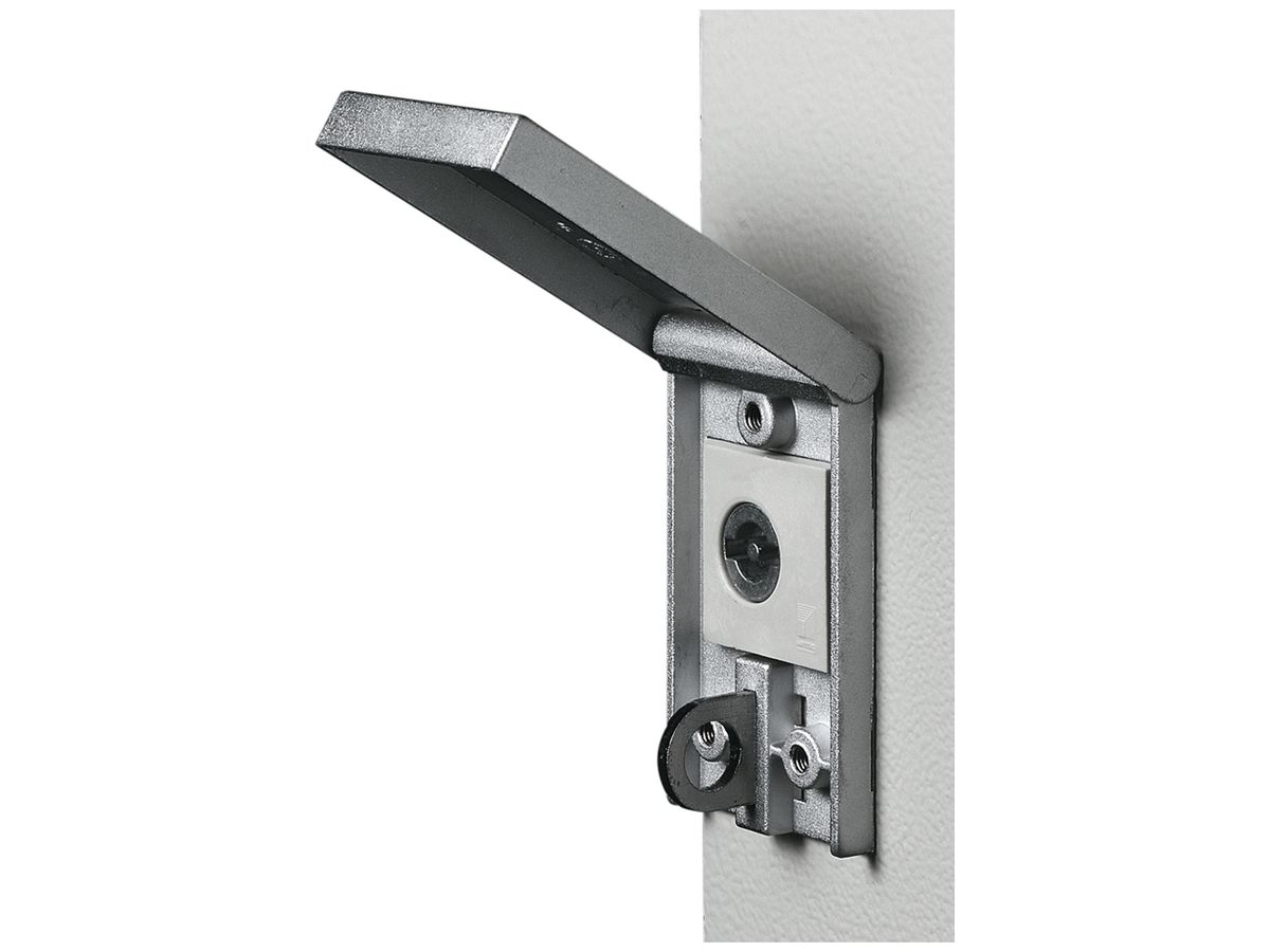 Abdeckung Rittal SZ 2493.000 für AE/AX/KX/E-Box mit Vorreiberverschluss