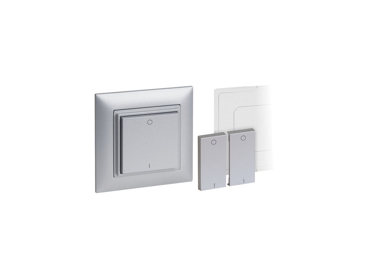 RF-Wandsender Omnio 4-Kanal silber mit Symbol I-O, ohne Batterie