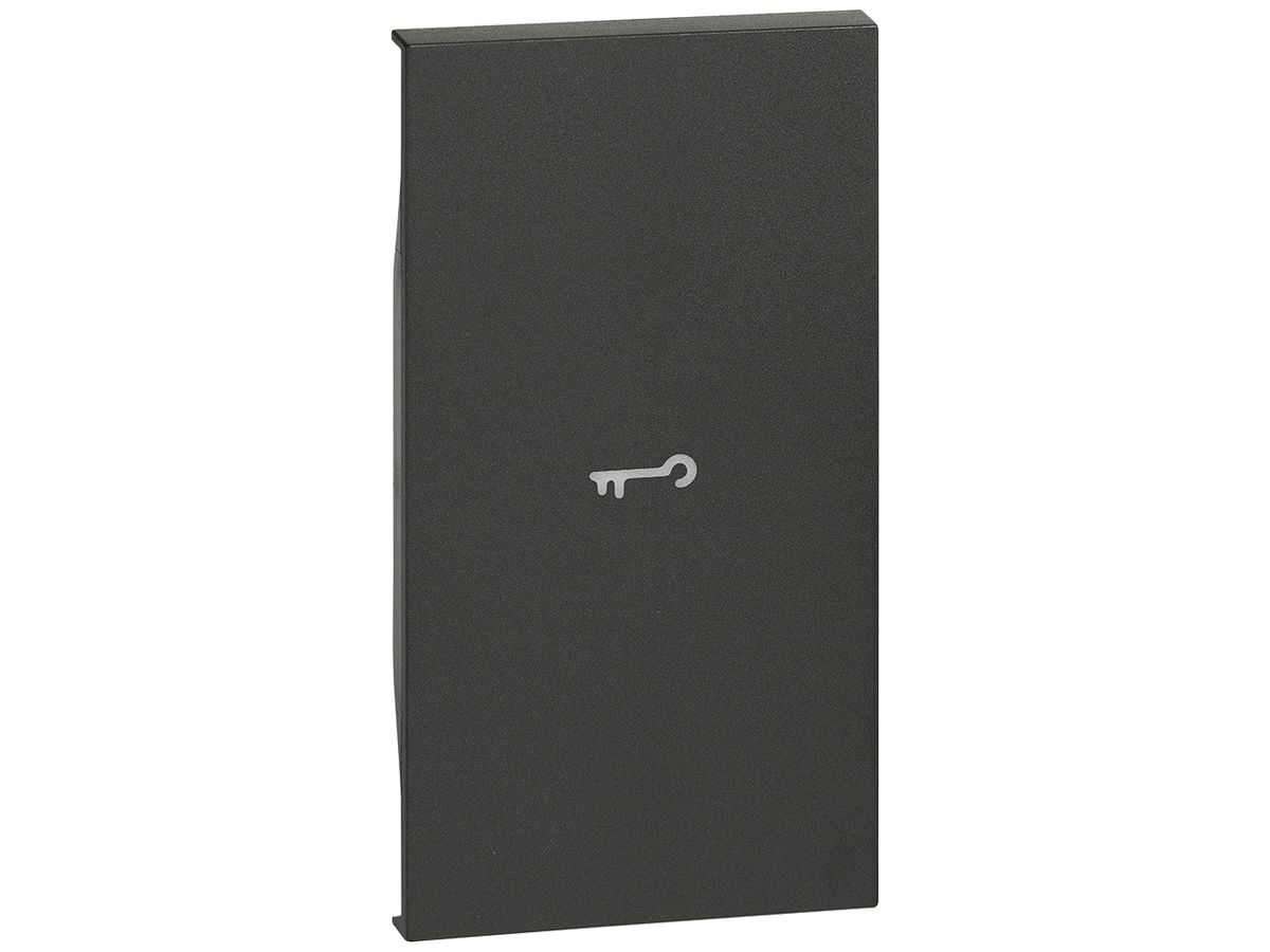 Tastenabdeckung Living Now 2 Module beleuchtbar mit Symbol Schlüssel schwarz
