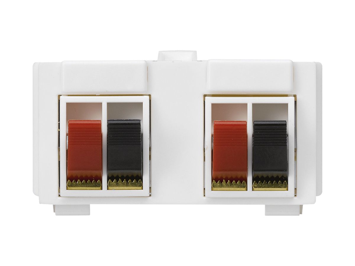 Multimedia-Modul M3 mit 4×LS-Klemme rot/schwarz kallysto weiss