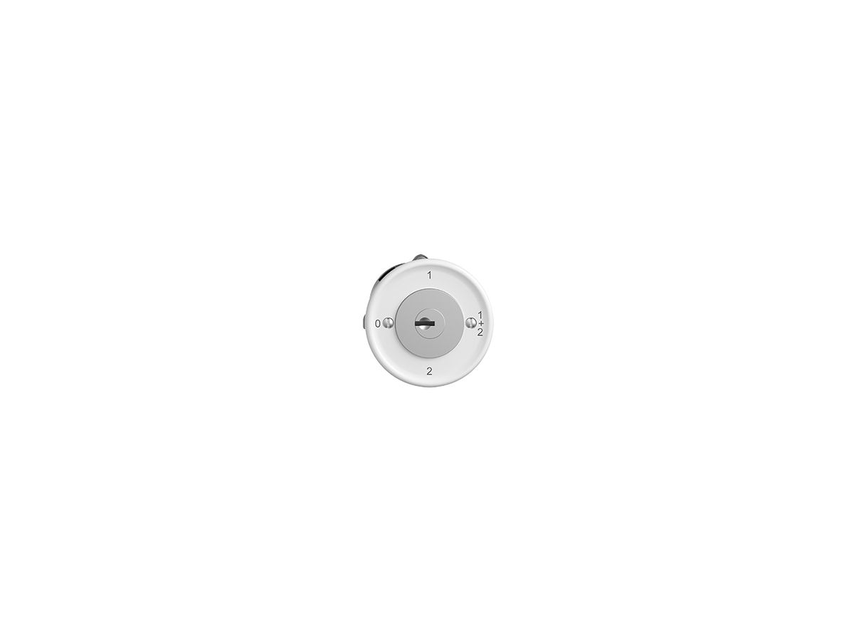 UP-Drehschalter STANDARDdue 1/1L weiss mit Sicherheitsschloss