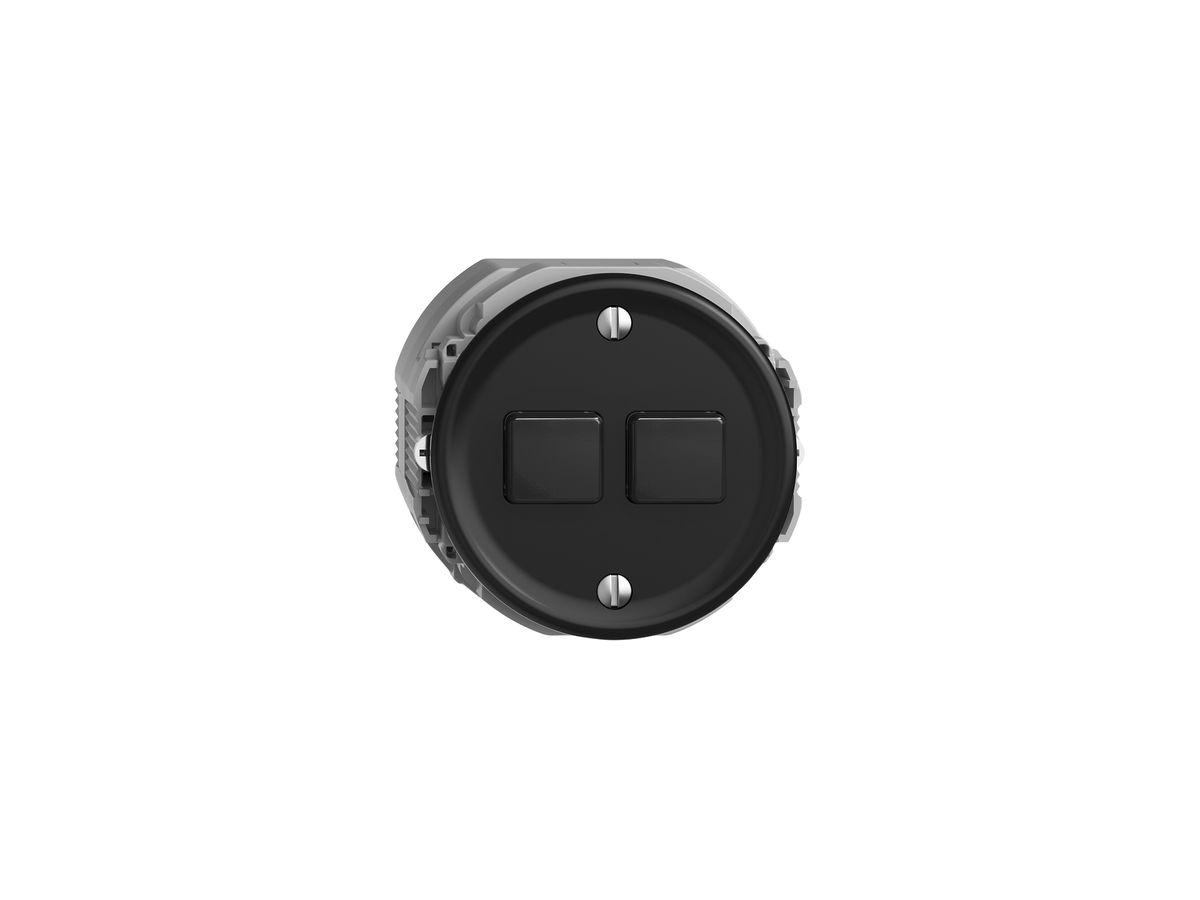 Druckschalter STANDARDdue Wiser m.Nebenstelle 2T 2B schwarz