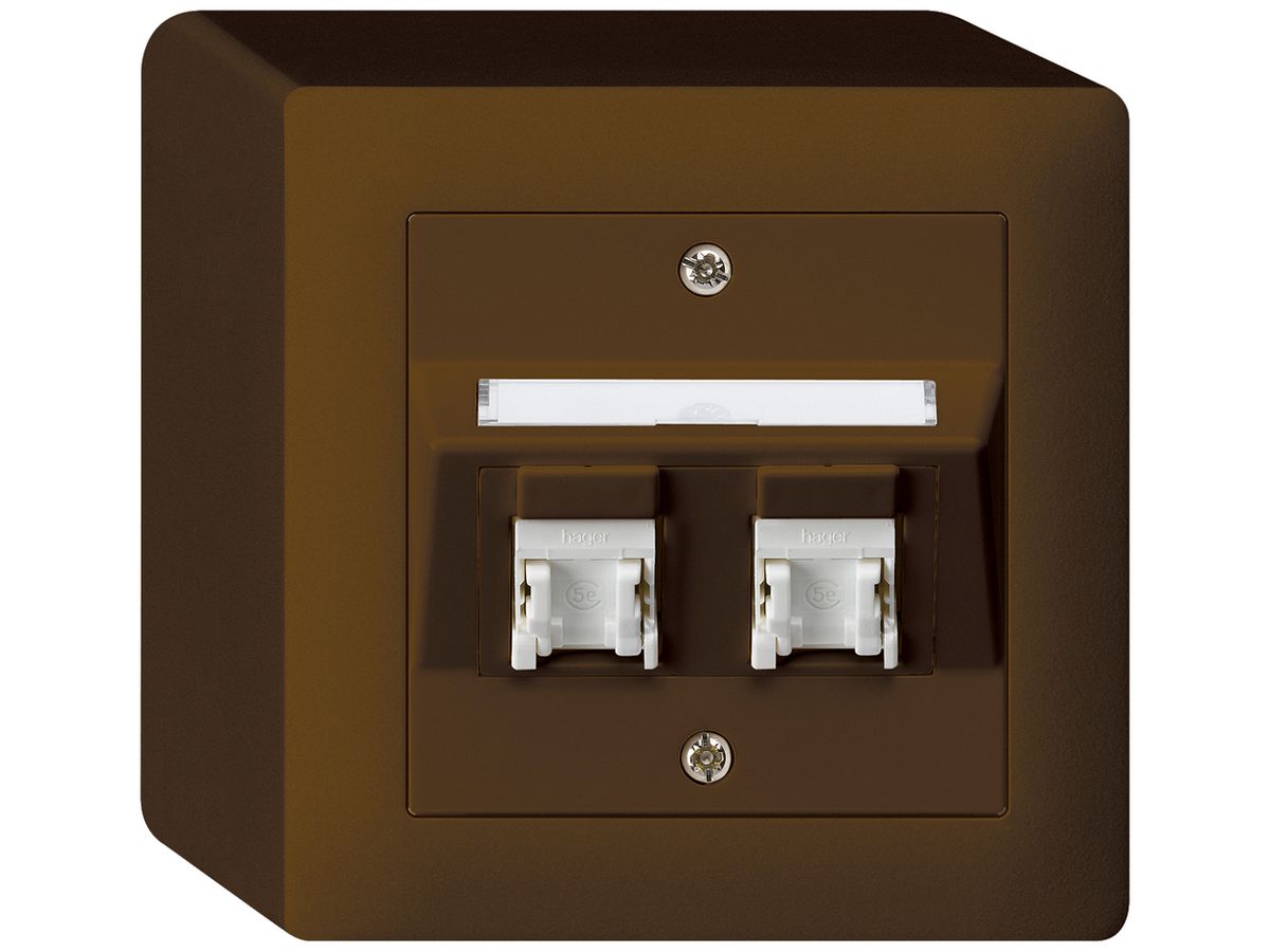 AP-Dose kallysto Kat.5e 2RJ45/u braun
