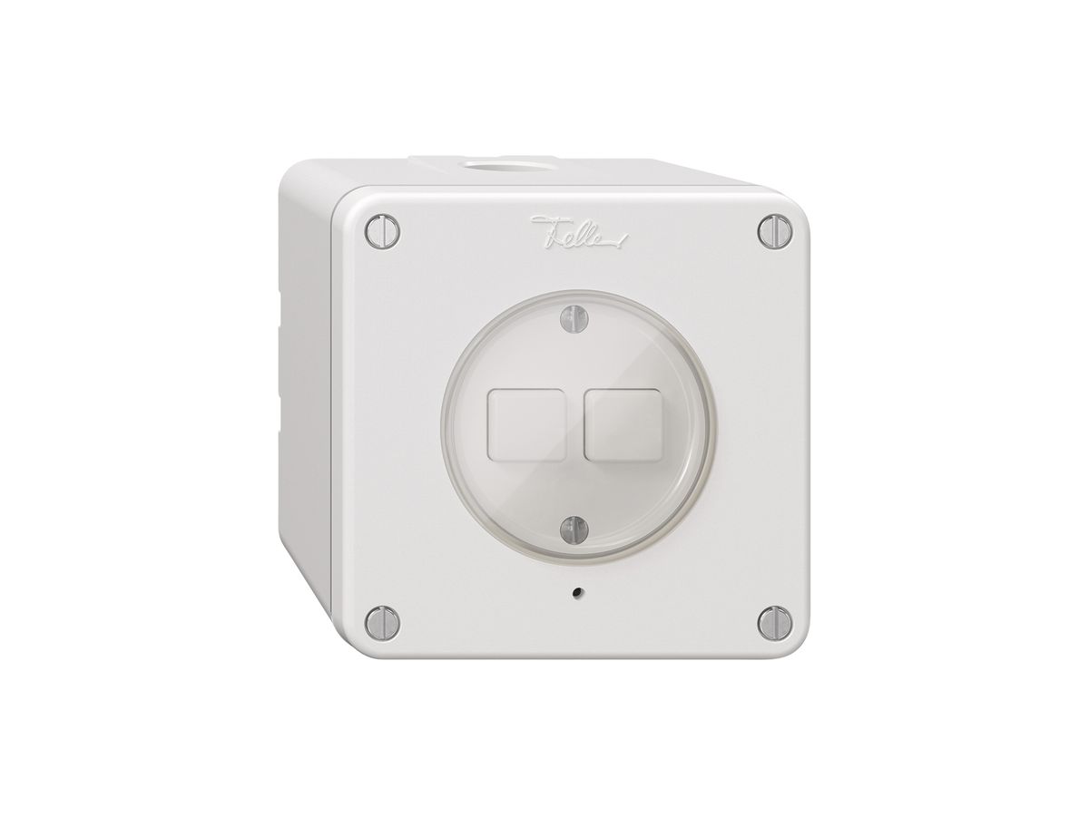 AP-Druckschalter NEVO Wiser m.Nebenstelle 2T 2B weiss