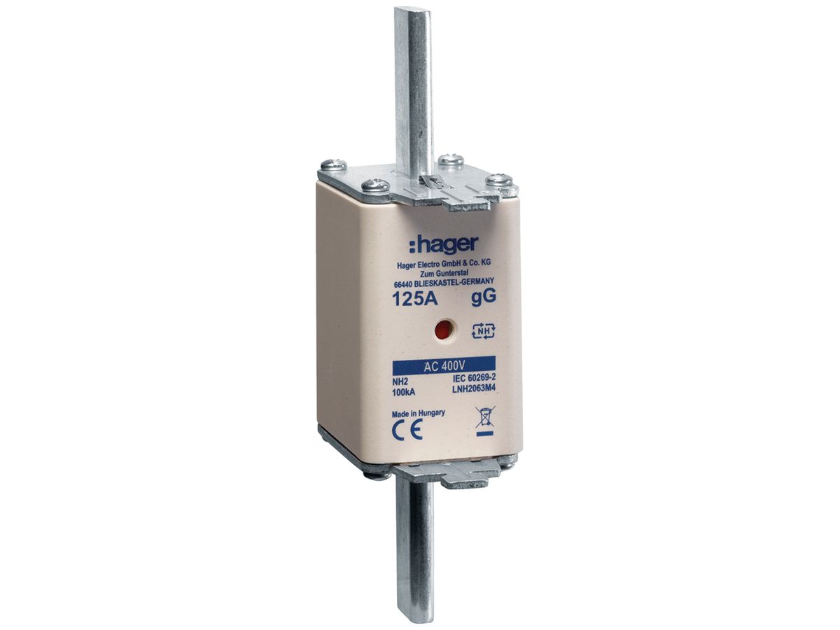 NH-Sicherung Hager DIN2c 400VAC 125A gG/gL Doppelkennmelder rostgeschützt