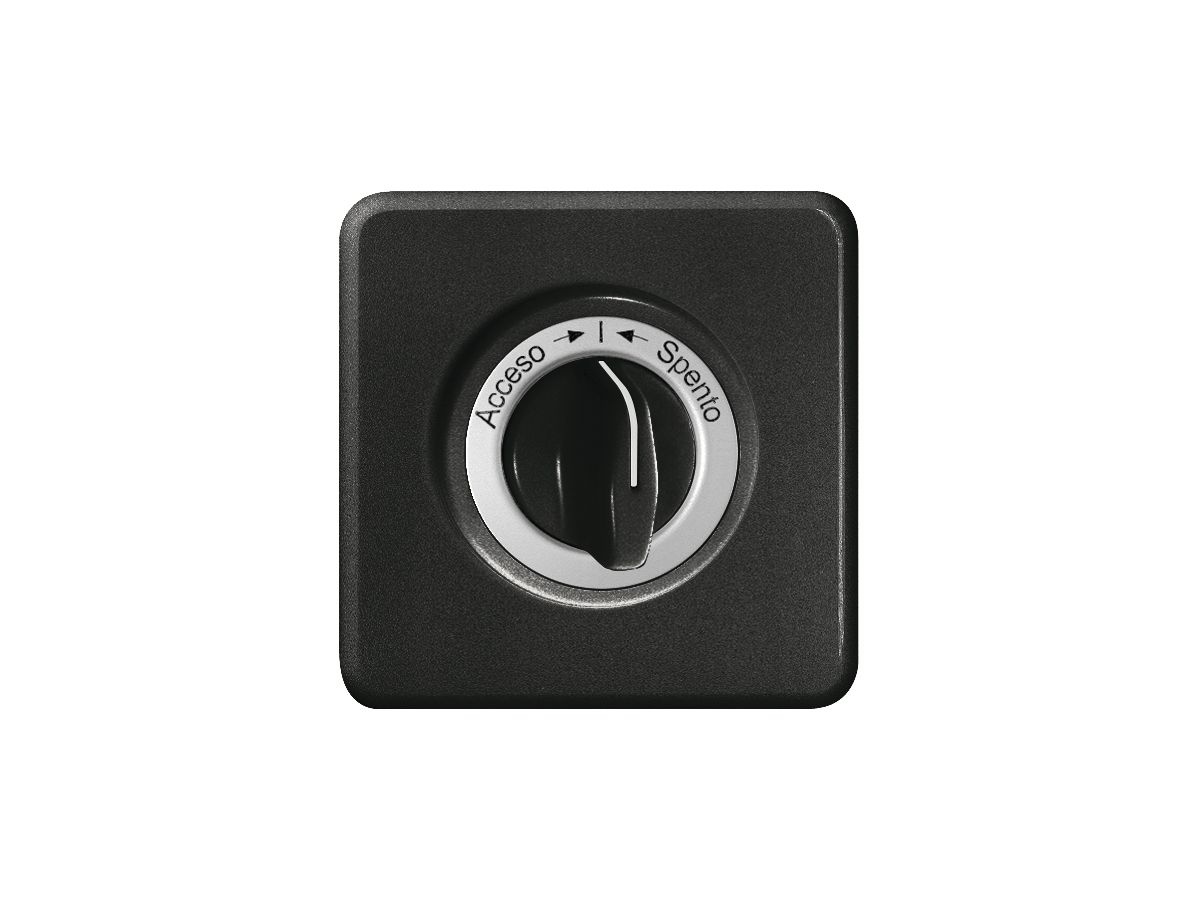 Frontset Accesso-I-Spento schwarz für Schwenktaster FH