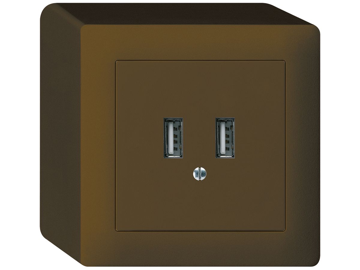 AP-USB-Ladesteckdose Hager kallysto 240V 2400mA braun