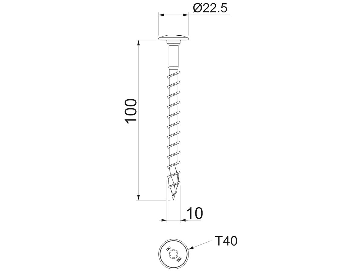 Tellerkopf-Holzschraube BET HT 10x100 TD T40 Ø10×100mm
