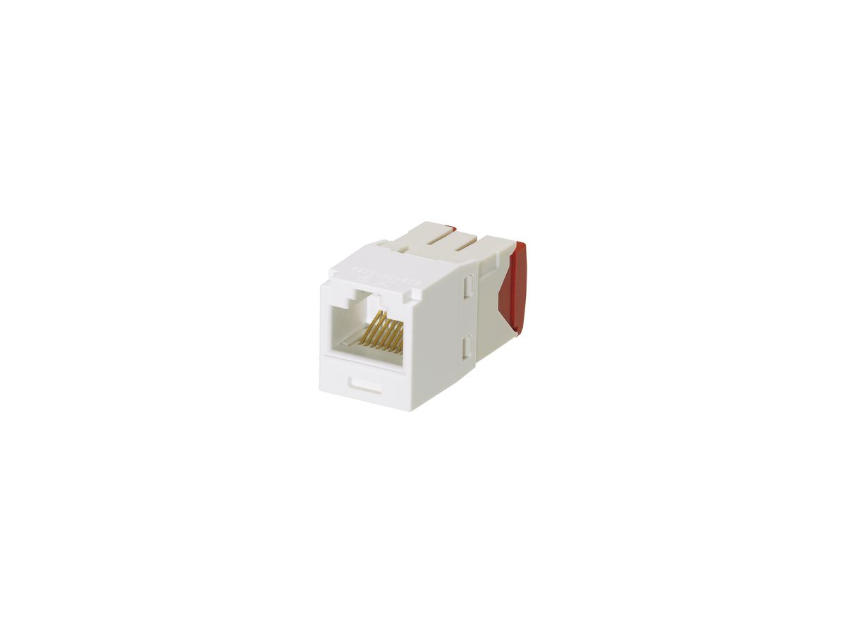 Buchse Panduit-Net RJ45u Kat.5