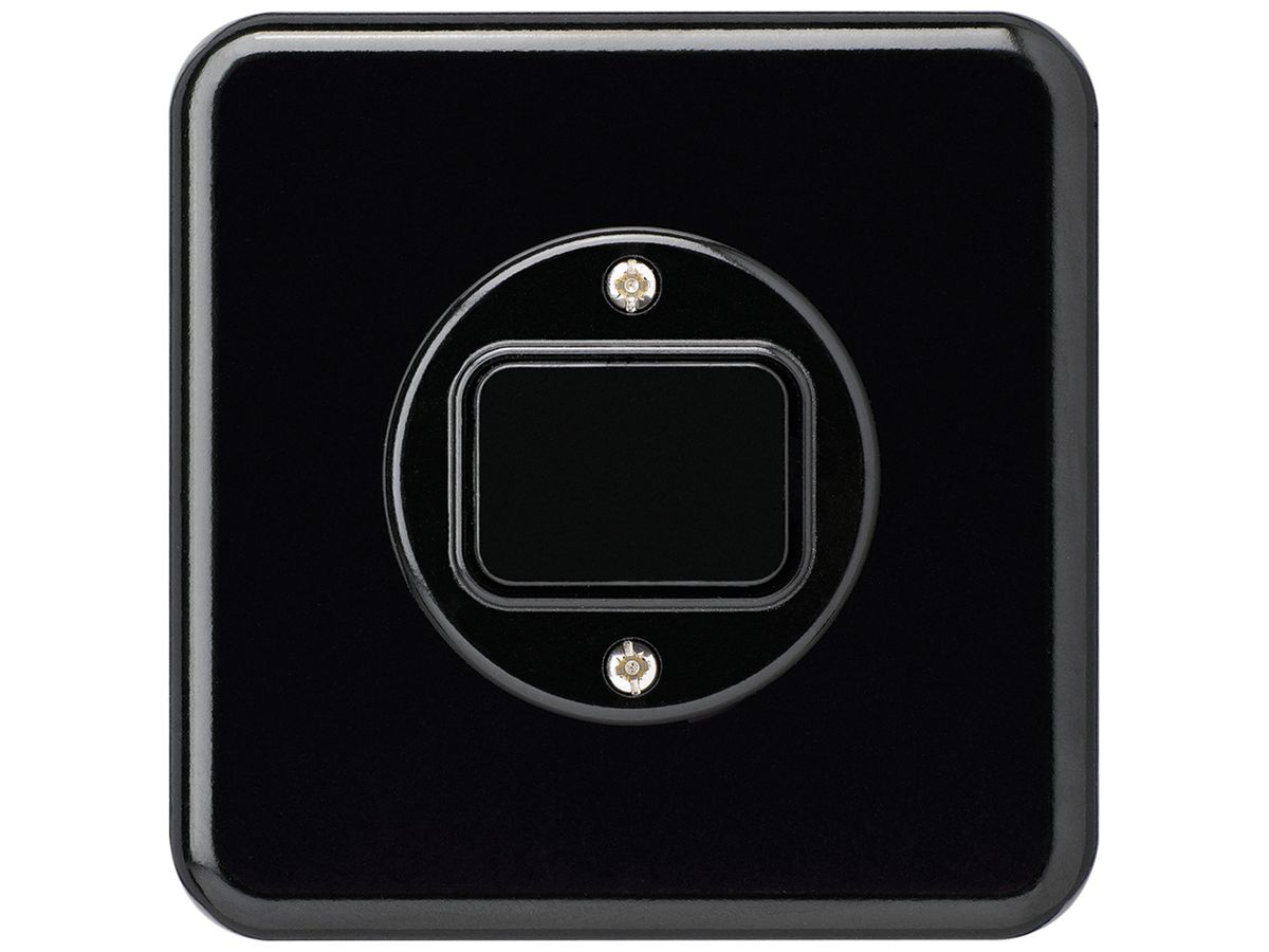 UP-Druckschalter basico 6/1L schwarz