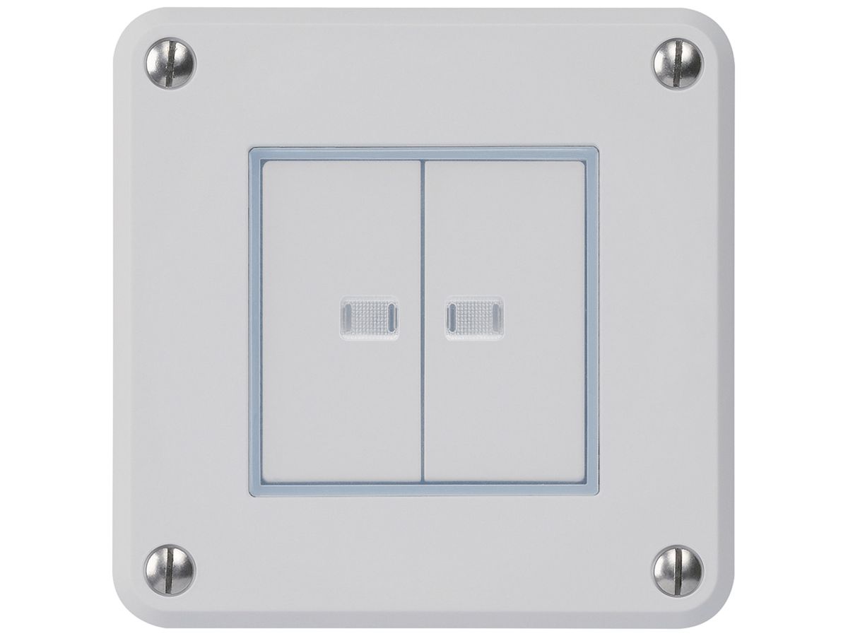 UP-Drucktaster robusto IP55 2×1P grau 2×beleuchtet