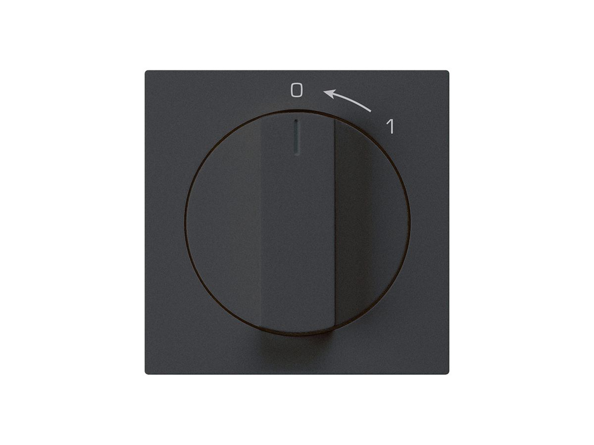 Frontset für SchwenkTaster schwarz 60×60mm kallysto 0<-1