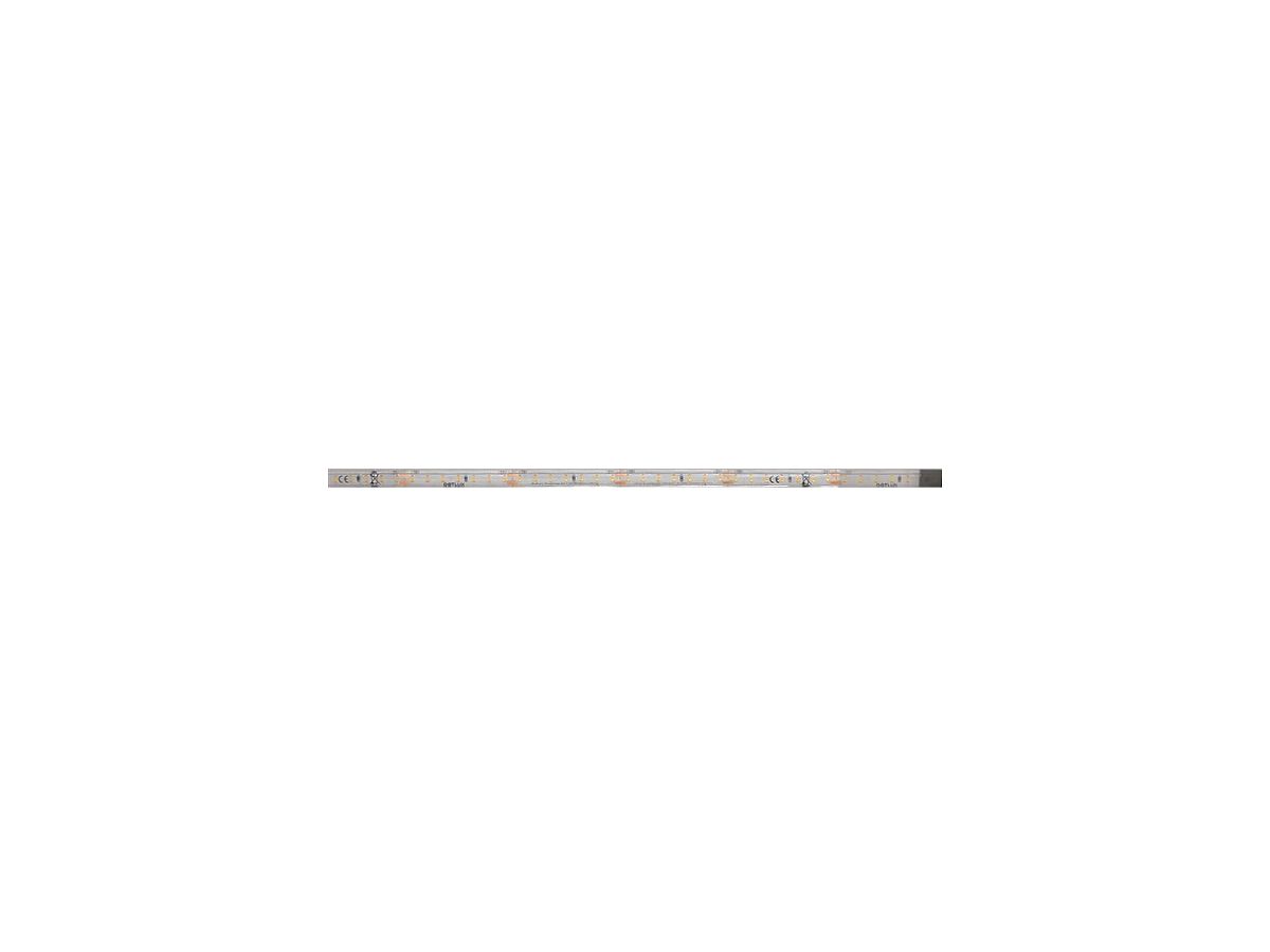 LED-Streifen DOTLUX, 48W, 10mm, 2700K, 5m-Rolle, m.Anschlusskabel 15cm, IP66