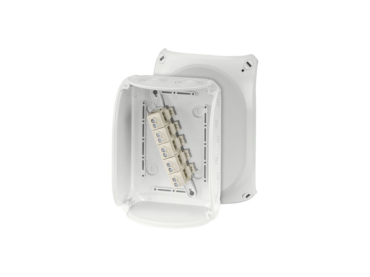 AP-Abzweigdose Hensel KF G mit Klemmen 5×10mm² grau
