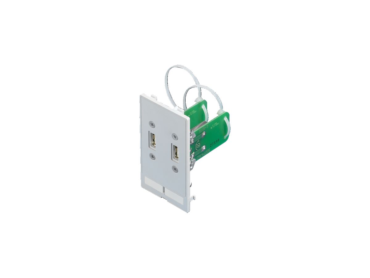 Schnittstellen-Einsatz Rittal SZ A 2×USB RAL 7024 IP65