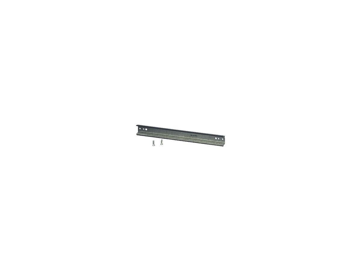 Profilschiene DIN-35 L 306 zu Apparategehäuse Gr.2 und 4