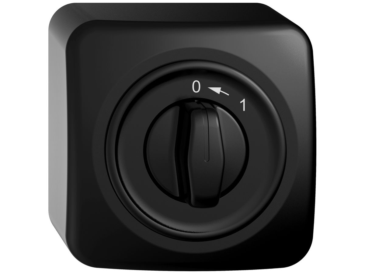 AP-Schwenktaster STANDARDdue SNAPFIX® 0<-1/1P mit Drehgriff sz