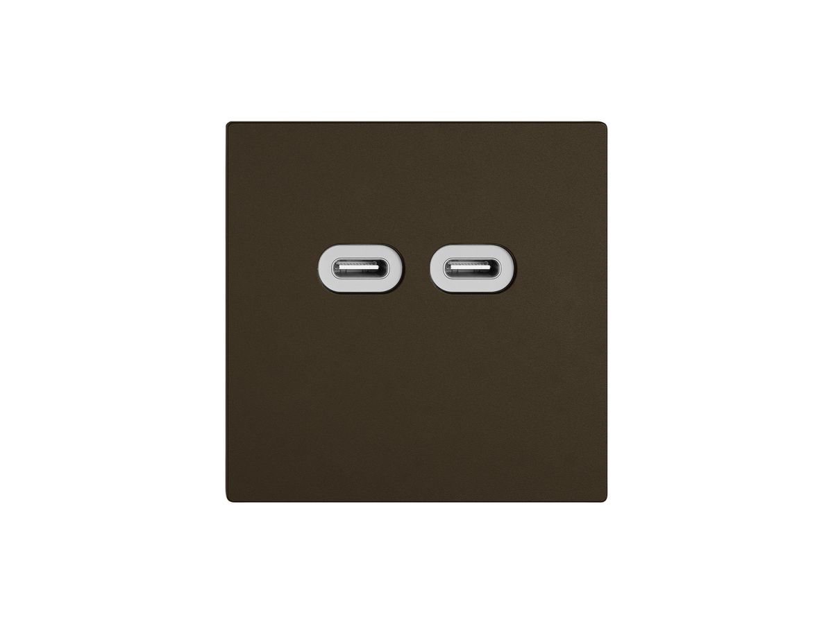 USB-Ladesteckdose EDIZIO.liv SNAPFIX® 230VAC 18W 2×USB Typ C br
