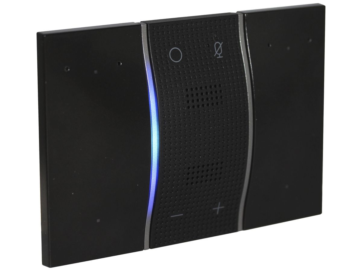 Sprachsteuerung Living Now MyHOME Alexa für Unterputzmontage 3 Module schwarz
