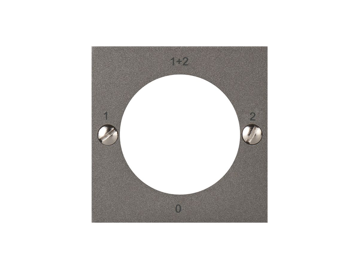Frontplatte ATO für Schlüsselschalter 1-1+2-2-0 magnesium
