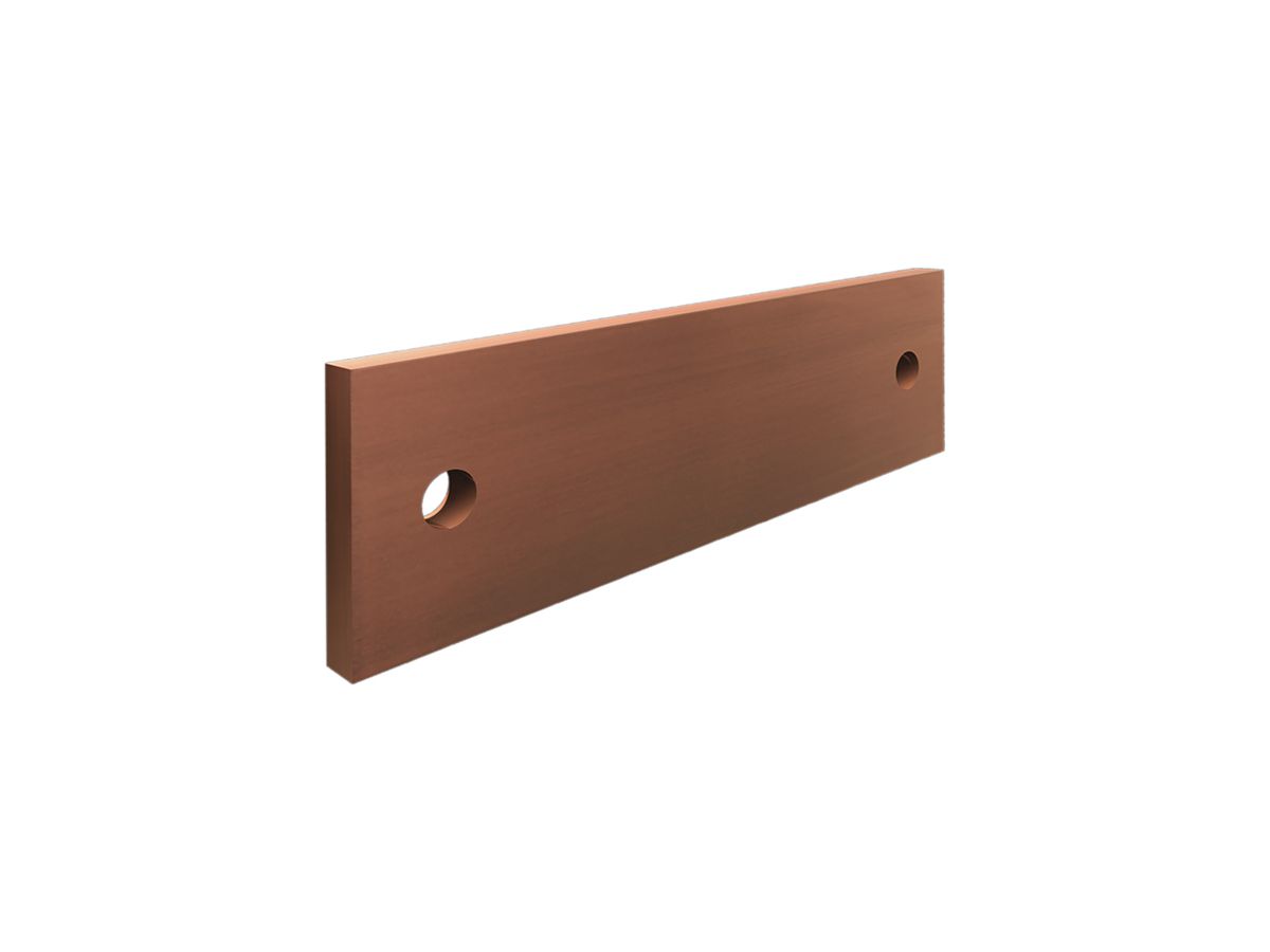 Schienenverbinder Rittal SV 9686.200 flach 195×60×10mm