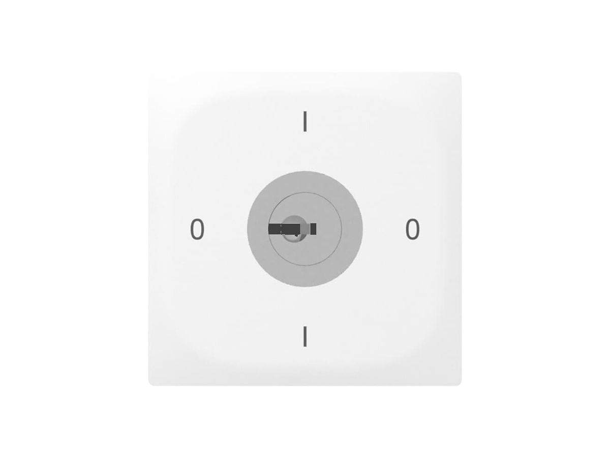 UP-Drehschalter SIDUS E 0/2L SS weiss