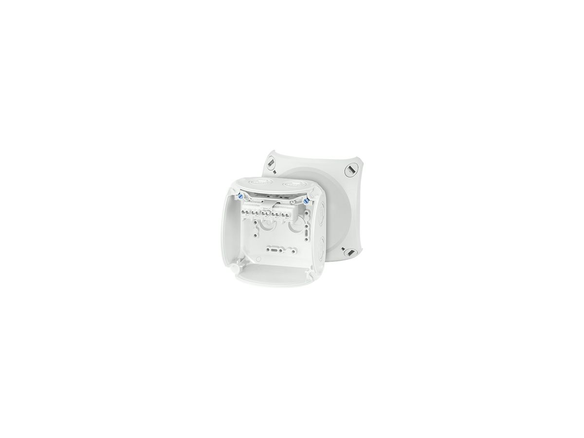 AP-Abzweigdose Hensel KF G mit Klemmen 5×2.5mm² grau