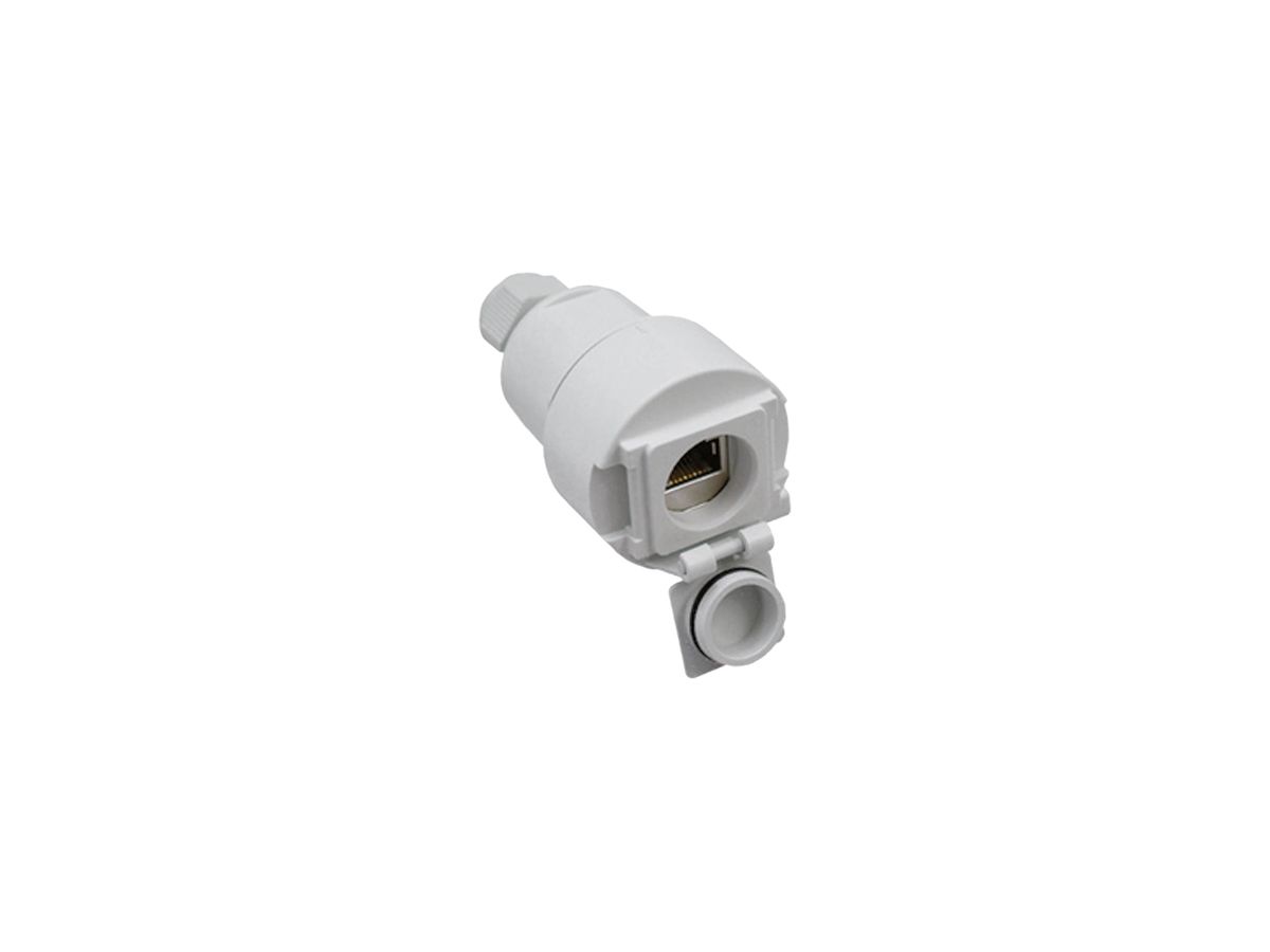 Kupplungssteckdose Dätwyler, Ø 41.8×79 mm, inkl. Modul MS-C6a Cat.6a