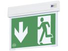 AP-LED-Rettungszeichenleuchte AWKS-U-013-WB 5.3W 250×220×34mm 3h
