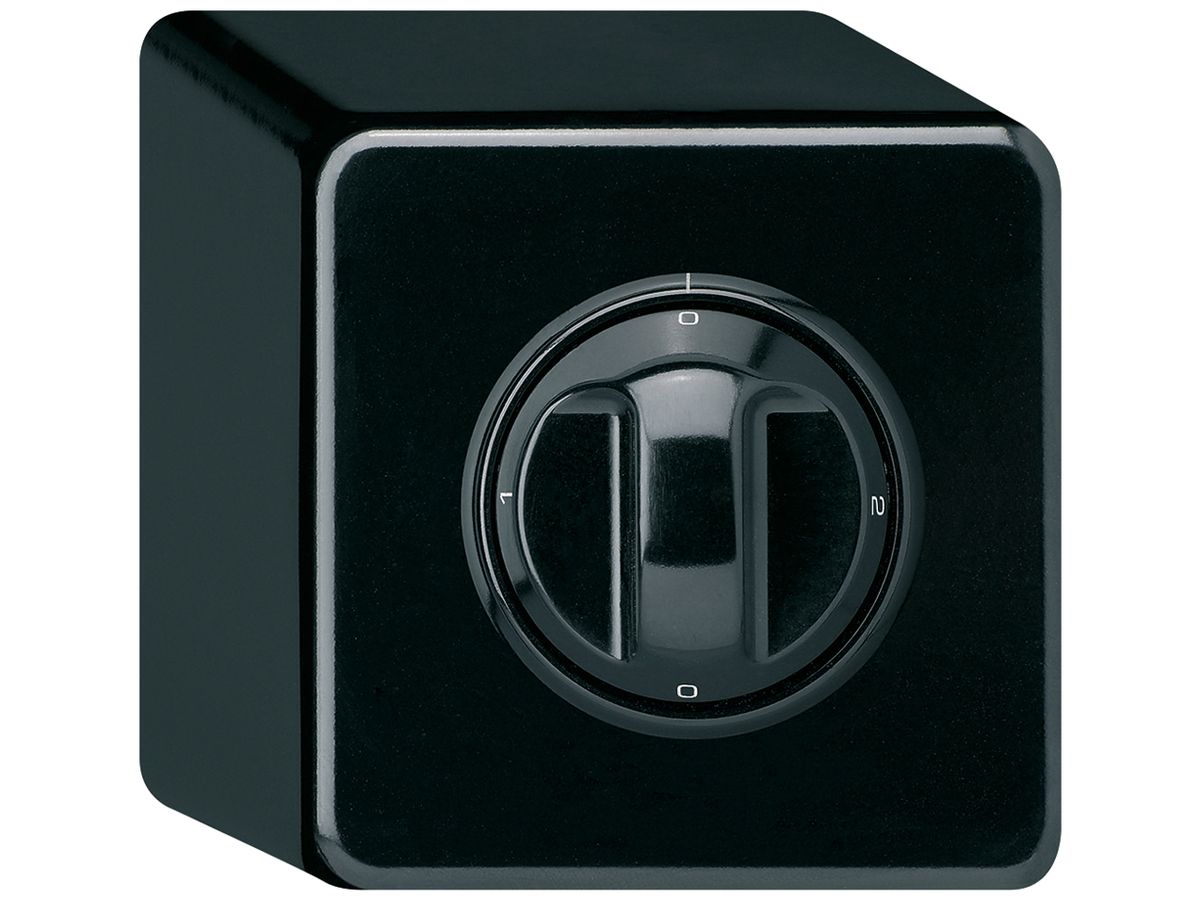 AP-Drehschalter basico 2/1L schwarz mit Drehgriff