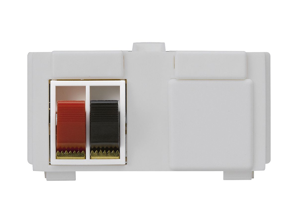 Multimedia-Modul M3 mit 2×LS-Klemme rot/schwarz kallysto hellgrau