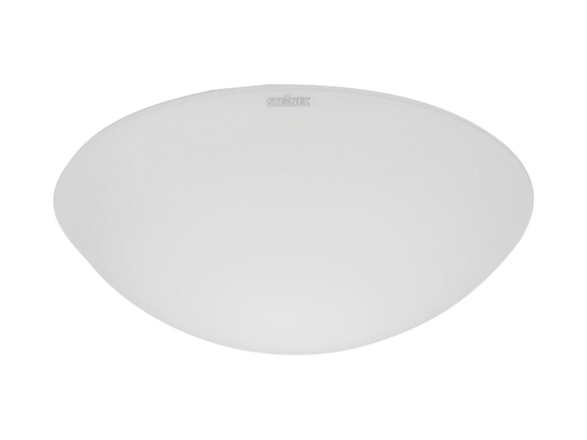 Ersatzglas Steinel für Aussenleuchte RS 100