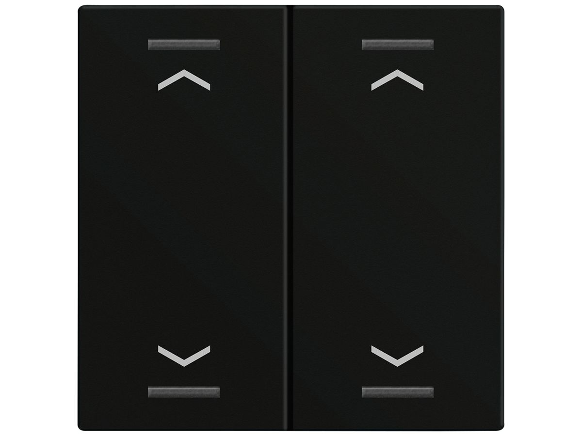 Wippe MDT BE-TAL60W216.A1 1T/4B f.Sensortasten schwarz matt "Jalousie"