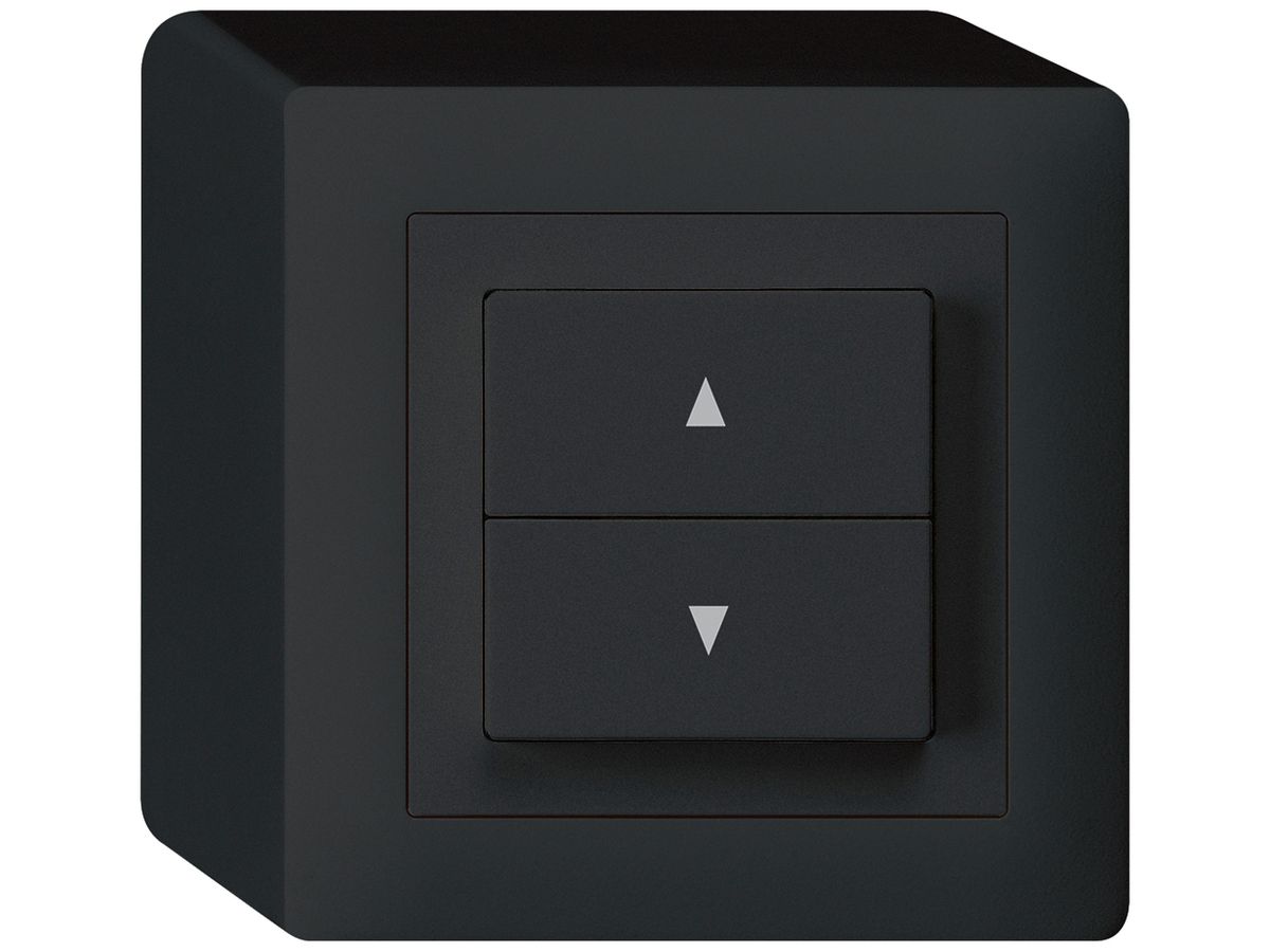 AP-Storentaster kallysto schwarz mit 2 Funktionstasten Steckklemmen