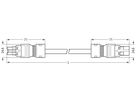 Verbindungsleitung WAGO 2×2.5mm² 20A 250V 5m Cod.L grau